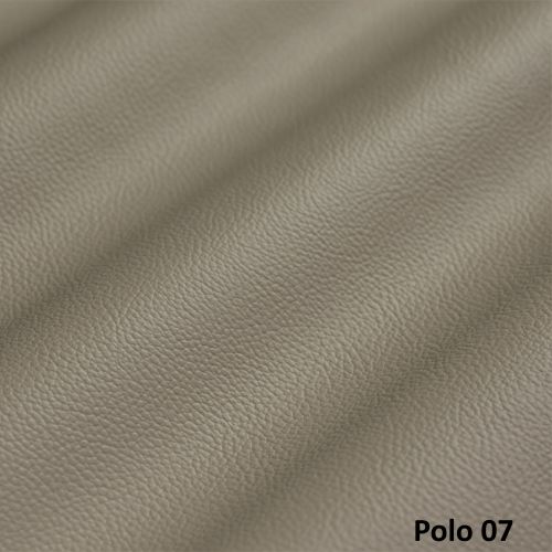 Polo 07